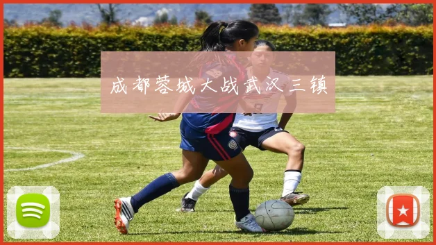 成都蓉城大战武汉三镇