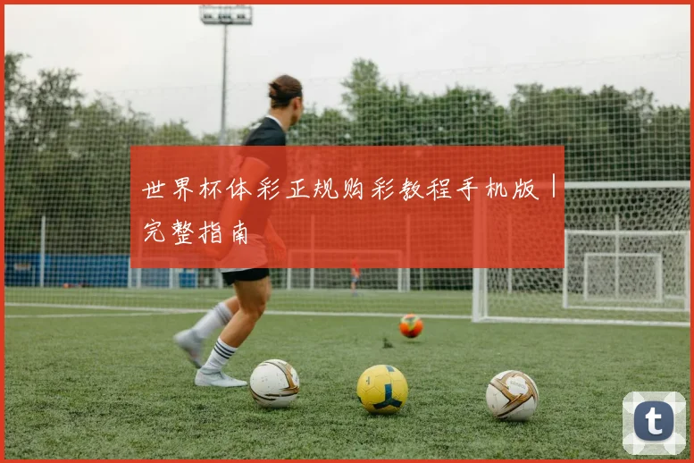 世界杯体彩正规购彩教程手机版｜完整指南