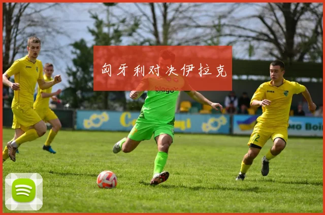 匈牙利对决伊拉克
