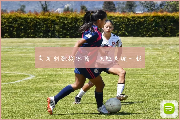 匈牙利激战冰岛，决胜关键一役