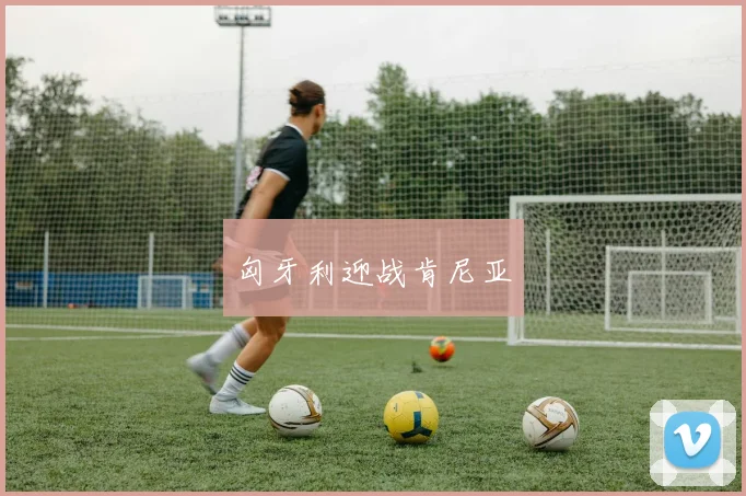 匈牙利迎战肯尼亚